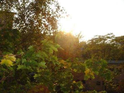 herbstlich - 