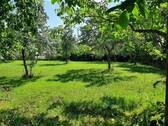 Streuobstwiese - 