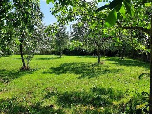 Streuobstwiese - 
