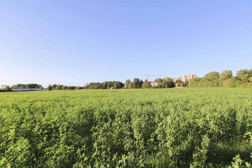 Südansicht - Grüne Aussichten: Grundstück mit Entwicklungschance in Erlangen