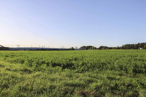 Südansicht (2) - Grundstück zum Kaufen in Erlangen