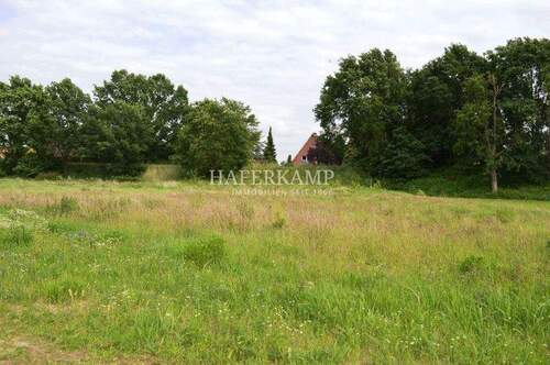 Großes Grundstück - Schönes Baugrundstück in Drage - 209.000,00&nbsp;EUR Kaufpreis, ca.&nbsp; 0,00&nbsp;m&sup2;