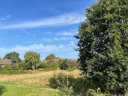 Blick vom alten Elbdeich aus 2 - Grundstück zum Kaufen in Drage
