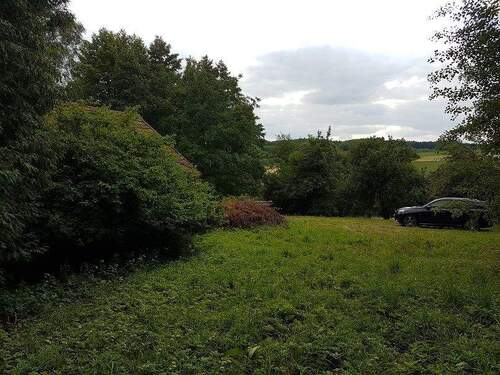 Aussicht vom Grundstück.jpg - Grundstück zum Kaufen in Laberweinting