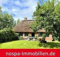 Bezauberndes Reetdachhaus in absoluter Alleinlage - Vollerwiek