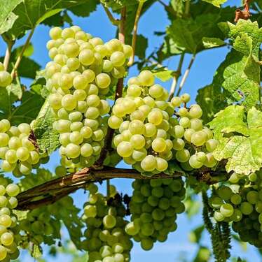 Willkommen in Lindelbach - Sonnige Landliebe-Wohnung - 710,00 EUR Kaltmiete, ca.  96,00 m² Wohnfläche