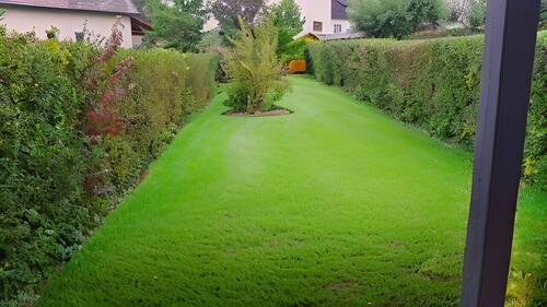 Mit Gartenhaus - 