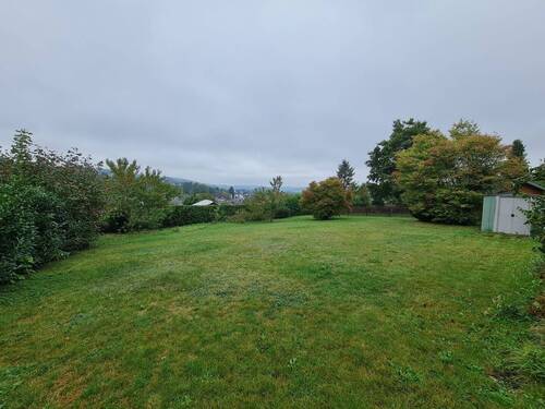 20250927_113208.jpg - 