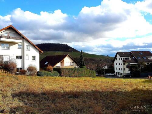 Aussicht gegenüber - Wunderschöne Terrassenwohnung mit Gartenanteil und Garage in Erlenbach sucht neuen Mieter