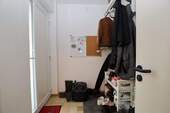 Windfang - 