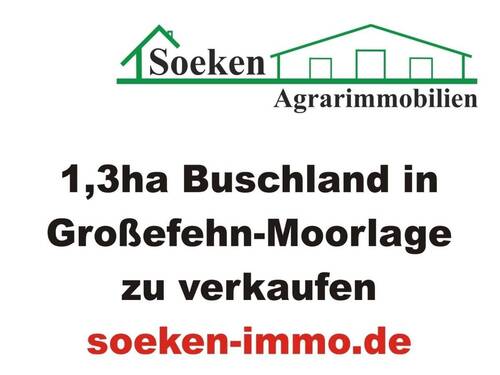 Bild... - Buschgrundstück in Moorlage zu verkaufen HF2308a