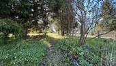 Naturbelassener Gartenteil - 