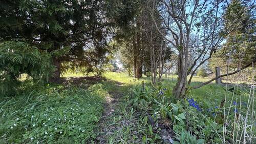Naturbelassener Gartenteil - 