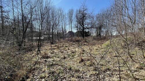 Grundstück - Grundstück zum Kaufen in Beiersdorf