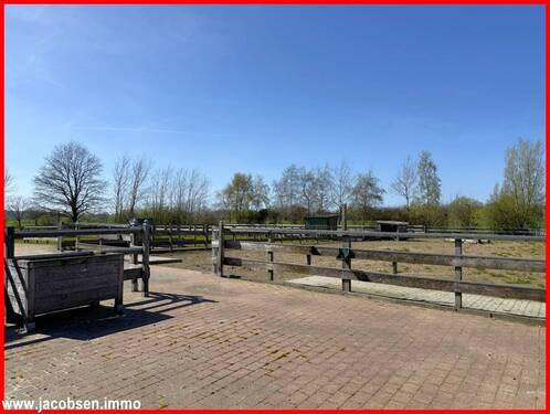 Putzplatz und Paddock - 