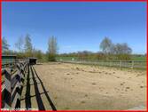Paddock - 