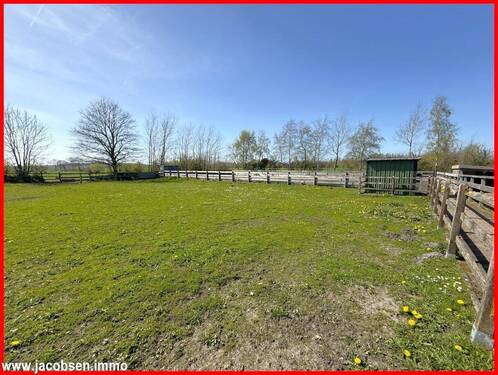 Blick zum Reitplatz - 