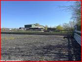 Blick vom Reitplatz - 