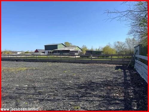 Blick vom Reitplatz - 