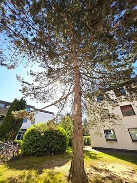 Innenhof - 
