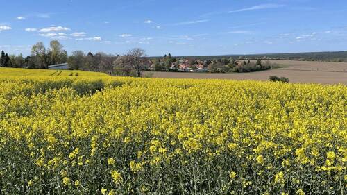 Blick auf die Straße hinter Feldern - 