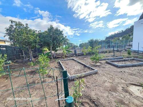 20251115_142805.jpg - 