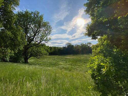 Pasinger Stadtpark 1 - 