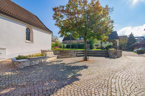 Platz - 