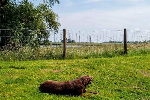 Hier fühlen sich alle wohl - 