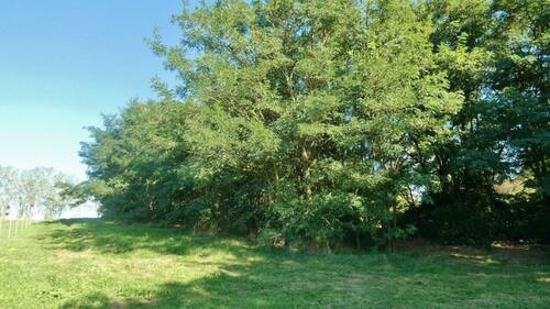 Bild 2 - Grundstück zum Kaufen in Nemesbük