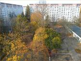 Blick vom Wintergarten - 