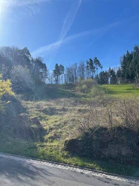 viel Platz - Grundstück in Knittlingen