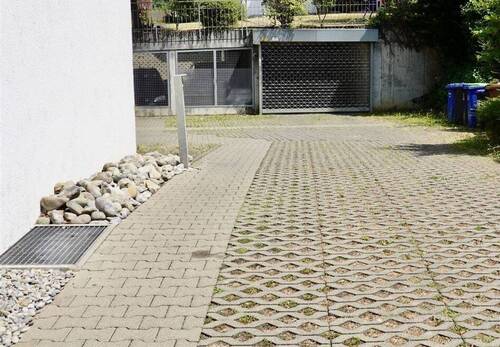 Einfahrt TG und Besucher-Parplätze - 