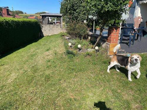 Gartenansicht - Gepflegtes Einfamilienhaus mit viel Platz und schönem Garten