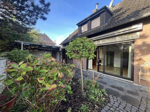 Blick in den Garten - 