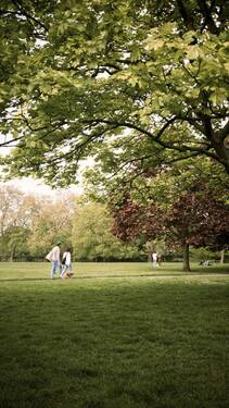 Botanischer Volkspark - 