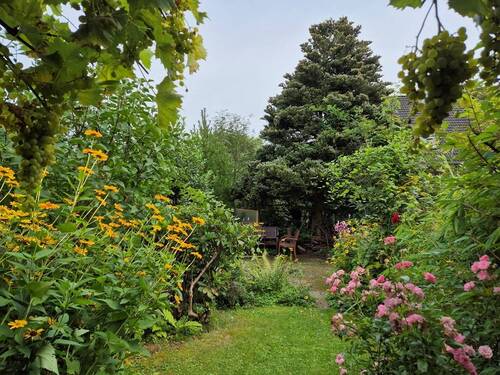 Garten - 