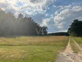 Ausblick - 