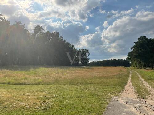 Ausblick - 
