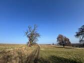 Ausblick des Objektes - Mehrfamilienhaus, Wohnhaus mit 360,00 m² in Dresden zum Kaufen