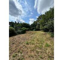 Großzügig. Ruhig. Zukunftssicher. Baugrundstück in schöner Lage im Fischbachtal