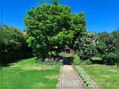 Garten - 