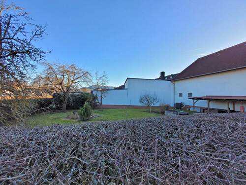 20260225_161953.jpg - 