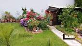 Garten Ansicht 6 - 