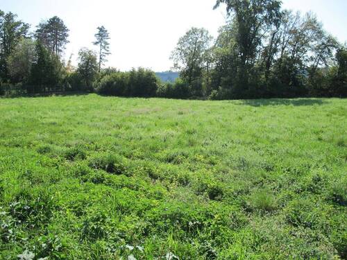 Blick in Richtung Burg - 