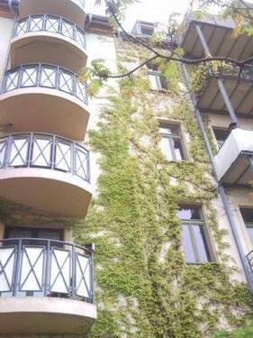 Rückansicht - 3 Zimmer Etagenwohnung zur Miete in Dresden
