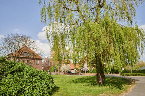 Schwarme im Frühling - 