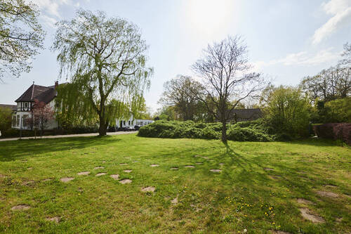 Idyllisches Schwarme - 