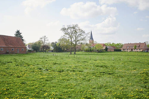 Impression von Schwarme - 