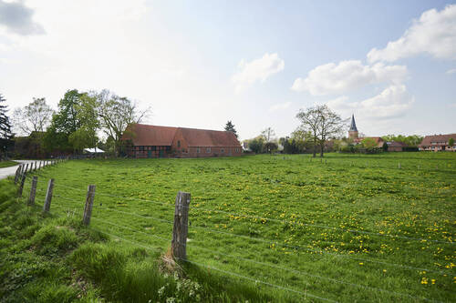 Impression von Schwarme - 